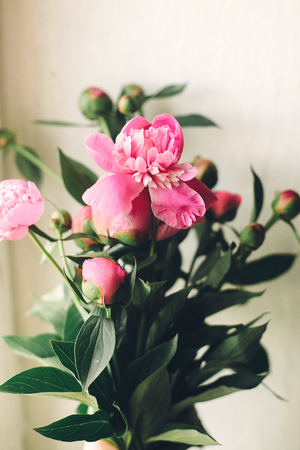 lovely pink peonies on rustic white wooden background top view, space for text. floral greeting card. beautiful peony flowers pattern, tender image. happy mothers  day conceptの写真素材