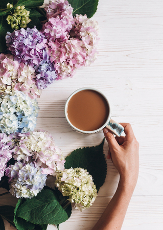 Hand holding coffee cup at beautiful hydrangea flowers on rustic white wood, flat lay. Good morning concept. Colorful pink, blue, green hydrangea. Hello spring. Happy mothers dayの写真素材