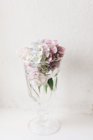 Beautiful hydrangea flowers in vintage glass with water on rustic white wood of old windowsill....