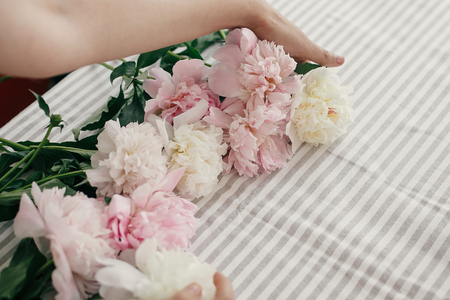 Beautiful peonies in girl hands. Florist arranging peony flowers on rustic table. Happy mothers day. Valentines day. Aroma scent concept. International Womens Day.の写真素材