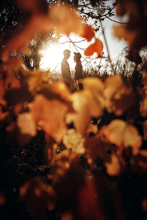 Stylish pregnant couple holding hands on belly in sunny light in autumn park among leaves. Happy young parents, mom and dad, hugging baby bump, enjoying beautiful moment at sunset. Creative photoの写真素材