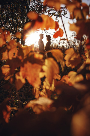 Stylish pregnant couple holding hands on belly in sunny light in autumn park among leaves. Happy young parents, mom and dad, hugging baby bump, enjoying beautiful moment at sunset. Creative photoの写真素材