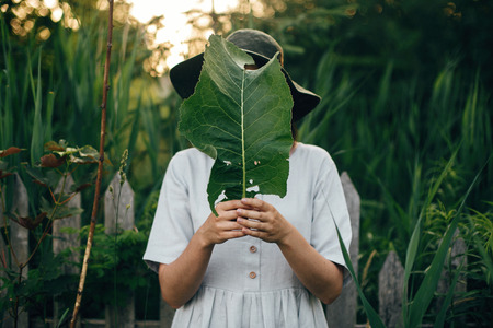 Stylish girl in linen dress holding big green leaf at face at wooden fence and grass. Portrait of boho woman in hat posing with leaf in summer countryside in evening. Atmospheric momentの写真素材