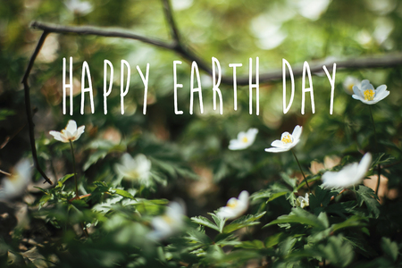 Happy Earth Day text, sign on beautiful anemones flowers in sunny spring woods, selective focus. Springtime. Space for text. Environment protectionの写真素材