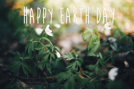 Happy Earth Day text, sign on beautiful anemones flowers in sunny spring woods, selective focus. Springtime. Space for text. Environment protectionの写真素材