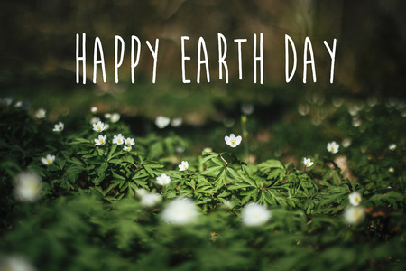 Happy Earth Day text, sign on beautiful anemones flowers in sunny spring woods, selective focus. Springtime. Space for text. Environment protectionの写真素材