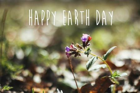 Happy Earth Day text, sign on beautiful  pulmonaria lungwort flowers in sunny spring woods, selective focus. Springtime. Space for text. Environment protectionの写真素材