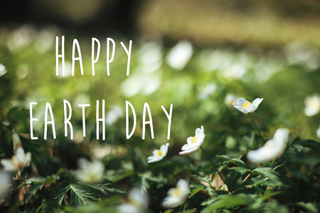 Happy Earth Day text, sign on beautiful anemones flowers in sunny spring woods, selective focus. Springtime. Space for text. Environment protectionの写真素材