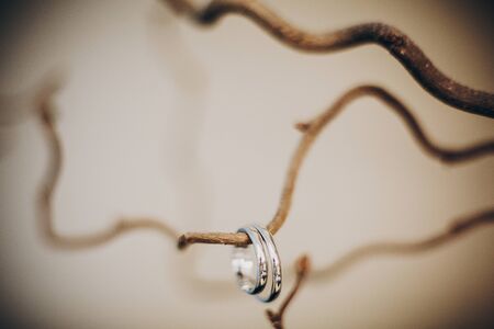 Stylish silver wedding rings on simple wooden branch. Wedding jewelry for bride and groom. Marriage and divorce conceptの写真素材