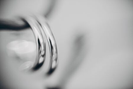 Stylish silver wedding rings on simple wooden branch, macro blurred image. Wedding jewelry for bride...