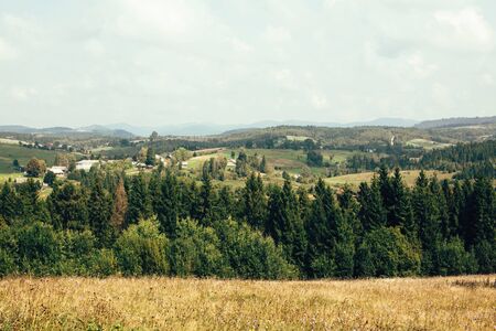 Beautiful view on green mountain hills with forest in sunny day. Trees and woods in Carpathian mountains. Exploring Europe. Mountain landscapeの写真素材