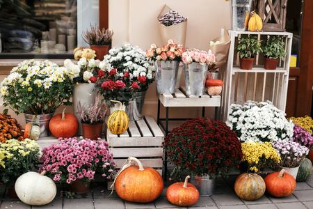 Pumpkins,squash and flowers on rustic wooden boxes in city street, holiday decorations store fronts and buildings. Halloween street decor. Space for text. Trick or treat. Happy halloweenの写真素材