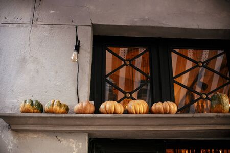 Halloween street decor. Pumpkins and squash in city street, holiday decorations store fronts and buildings. Space for text. Trick or treat. Happy halloween. Autumn market in townの写真素材
