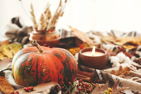 Hygge lifestyle, autumn mood. Happy Thanksgiving. Cozy inspirational image. Pumpkin and candle with berries, fall leaves, anise,herbs, acorns, nuts, cinnamon, cotton on brown blanketの写真素材