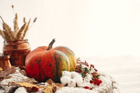 Happy Thanksgiving. Pumpkin with fall leaves, cotton, cinnamon, anise, acorns, nuts, berries on white knitted sweater. Hygge lifestyle, cozy autumn mood.の写真素材