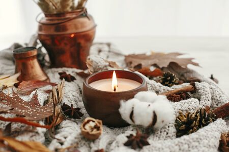 Hello autumn, cozy inspirational image.Hygge lifestyle. Candle with berries, fall leaves, anise,herbs, acorns, nuts , cinnamon, cotton on white knitted sweater. Autumn mood.の写真素材