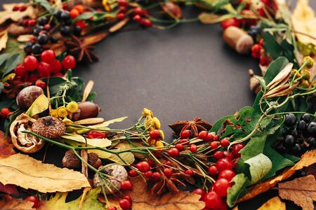 Autumn wreath of fall leaves, red berries, acorns, anise, nuts, autumn flowers closeup on black background. Happy Thanksgiving card. Stylish autumn imageの写真素材