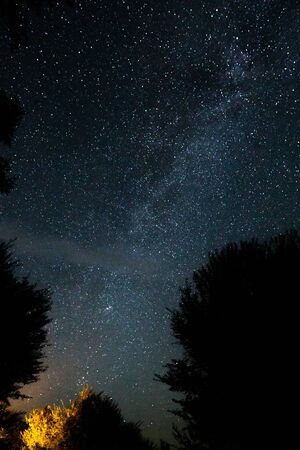 Amazing starry night sky with Milky way and stars above tourists tents in woods in mountains. Camping under the beautiful stars and trees. Breathtaking scenicの写真素材