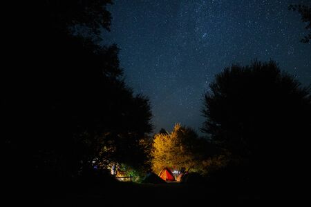 Amazing starry night sky with Milky way and stars above tourists tents in woods in mountains. Camping under the beautiful stars and trees. Breathtaking scenicの写真素材