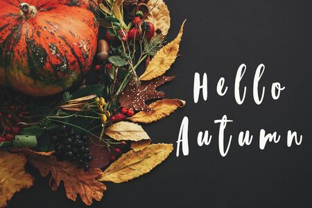 Hello Autumn text, fall greeting sign on pumpkin in autumn wreath of fall leaves, red berries, acorns, anise, nuts, autumn flowers on black  background. Stylish greeting cardの写真素材