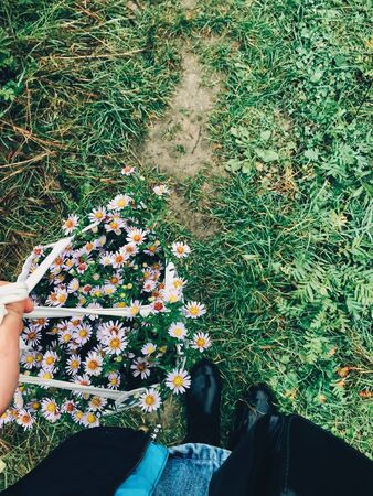 Girl gathering beautiful daisy flowers in canvas bag in cold autumn morning. Tranquil moment. Atmospheric morning. Flowers in bagの写真素材