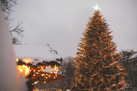 Stylish christmas tree with golden lights and illuminated star on top in european city center. Holiday market in city street. Space for text. Big Christmas tree in downtown in Lvivの写真素材