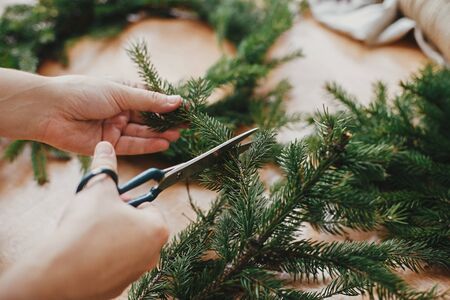 Making rustic Christmas wreath. Hands cutting fir branches with scissors on wooden table. Christmas wreath workshop. Spruce tree branchの写真素材