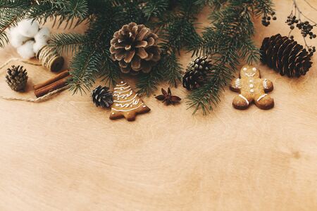 Stylish rustic christmas border of pine branches