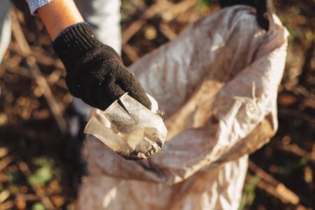 Volunteer picking up dirty plastic cups in park. Woman hand in glove picking up trash, collecting garbage in bag. Eco activist cleaning up nature from single use plasticの写真素材