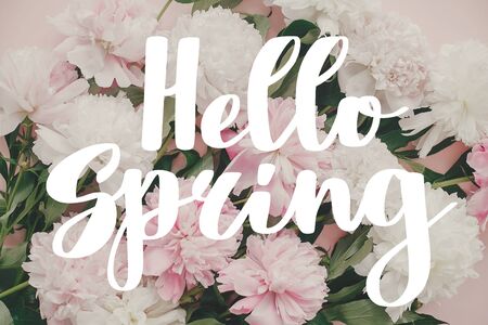 Hello Spring lettering on peonies wallpaper. Hello spring text on  stylish pink and white peony...