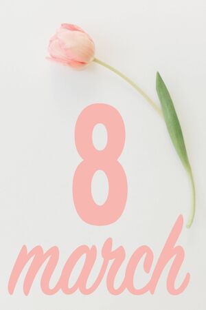 8 march. Happy womens day floral greeting card. 8 march text on pink tulip  flat lay on white background. Handwritten lettering. International women day. Vertical imageの写真素材