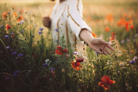 Woman in rustic dress gathering  poppy and wildflowers in sunset light, walking in summer meadow. Atmospheric authentic moment. Copy space. Hand picking up flowers in countryside. Rural slow lifeの写真素材