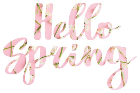Hello Spring. Stylish Hello Spring  floral text with white spring flowers on pink background,...
