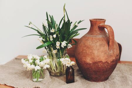 Spring flowers growing in glass jars and clay vase on rustic table. Rural still life. Hello spring....