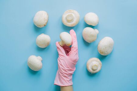 Hand in pink glove holding mushrooms on blue background flat lay. Safe shopping in quarantine. Order food online with delivery and stay home. Prevention of virus epidemic. Stay safe.の写真素材