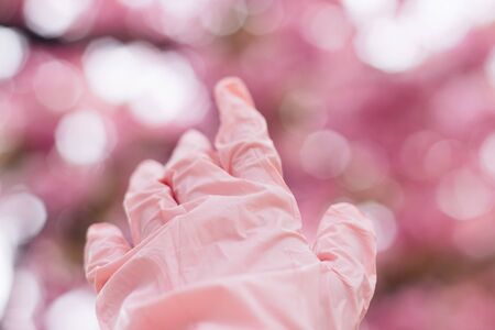 Hand in pink medical glove on background of blooming pink sakura trees during virus outbreak. Social distancing, stay away. Prevention and protectionの写真素材