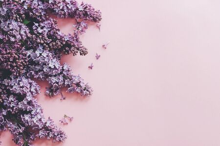 Lilac flowers on pink paper, stylish spring flat lay. Floral greeting card with space for tex....