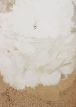White hydrangea immersed in water with air drops in glass transparent vase, closeup. Creative photo....
