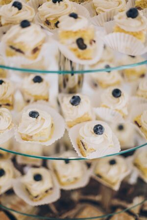 Delicious creamy desserts with fruit, cakes and cookies on stand at wedding reception in restaurant. Luxury catering service. Wedding candy bar.の写真素材