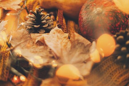 Autumn hygge. Cozy moody image of pumpkin, autumn leaves,  warm lights and pine cone on yellow knitted sweater. Selective focus and yellow bokehの写真素材