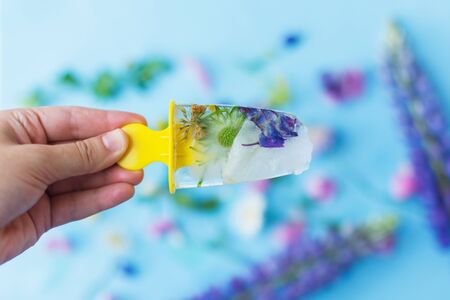 Hand holding floral Ice Pop with summer wildflowers on background of ice cubes fresh summer flowers...