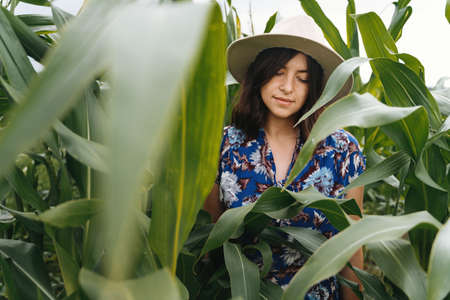 Stylish young woman in blue vintage dress and hat posing in green corn field. Sensual portrait of beautiful girl in cornfield, calm tranquil moment in summer  countrysideの写真素材