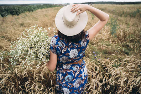 Tranquil summer in countryside. Stylish young woman in blue vintage dress and hat posing with white wildflowers in wheat field meadow. Beautiful girl with big daisies bouquet, back view.の写真素材