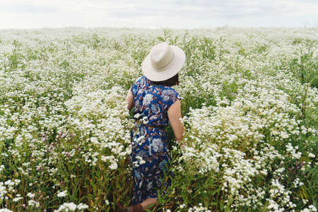 Stylish young woman in blue vintage dress and hat walking in summer meadow in many white...