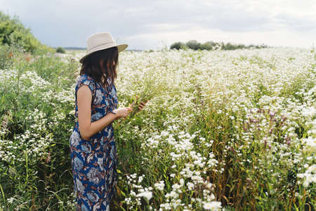 Stylish young woman in blue vintage dress and hat gathering white wildflowers in summer meadow....