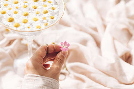 Hand with jewelry holding pink flower on background of soft beige fabric with stylish wineglass with daisy flowers in water. Tender floral aesthetic. Creative summer image. Bohemian moodの写真素材