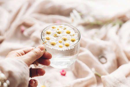 Hand holding glass cup with daisy flowers in water on background of soft beige fabric with wildflowers and jewelry. Tender floral aesthetic. Creative summer image. Bohemian moodの写真素材