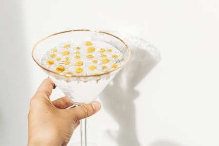 Hand holding stylish wineglass with daisy flowers in water on white background. Tender floral aesthetic. Creative summer image. Bohemian moodの写真素材