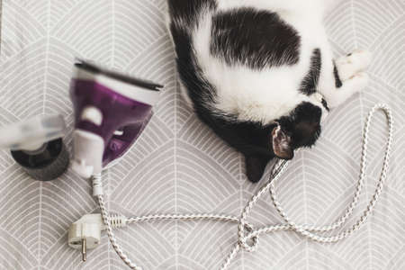 Adorable cat sleeping at iron cable on modern cloth. Laundry and housekeeping concept. Cute black...