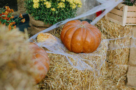 Festive Halloween street decor. Pumpkins and autumn flowers with cobweb on hay bale, stylish rustic decor of city street. Happy Thanksgiving.の写真素材